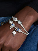 Charm Gufo Laureato