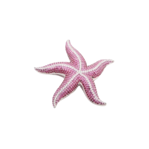 Ciondolo stella marina