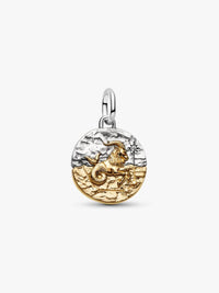 Charm Medallion Capricorno