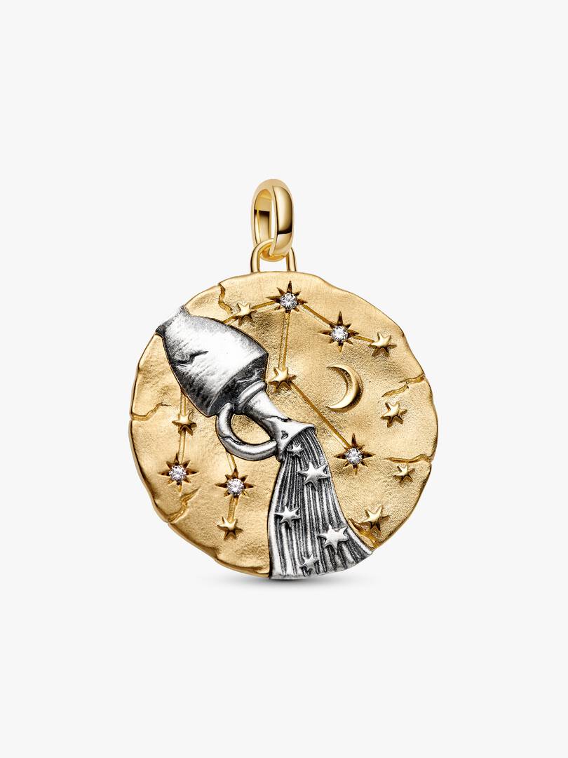 Charm Medallion XL Acquario "Omnia Mutantur"