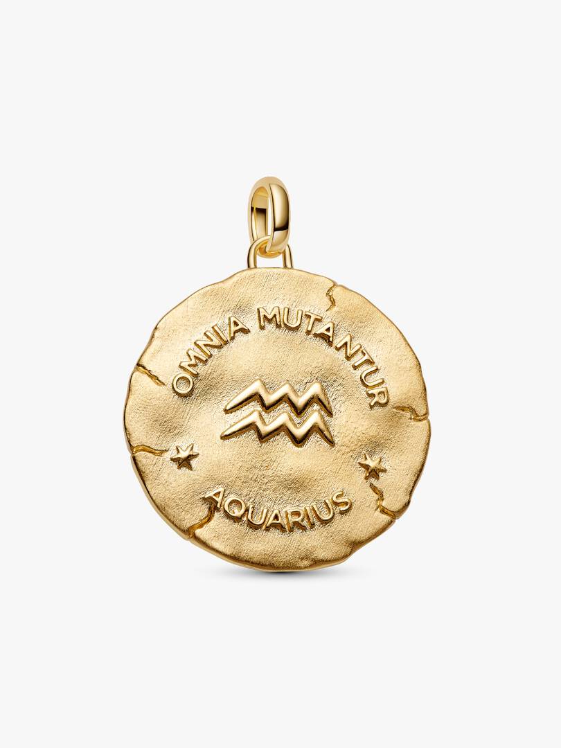 Charm Medallion XL Acquario "Omnia Mutantur"