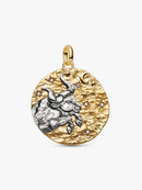 Charm Medallion XL Toro "Fortitudo Animi"